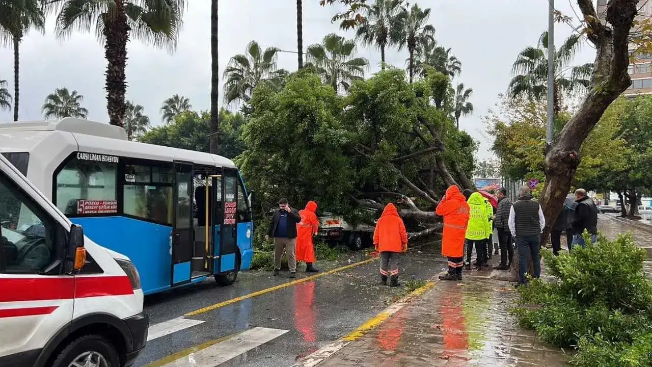 Mersin’de Şiddetli Yağış Felaketi: Devrilen Ağaç 3 Aracı Altına Aldı! 6